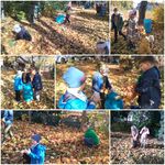Kolaż zdjęć. Dzieci sprzątają las. Dużo jesiennych liści.